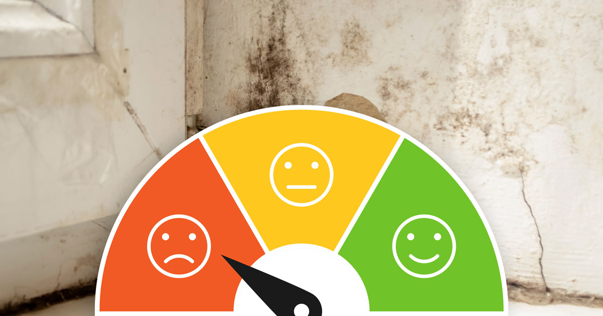 474% increase in complaints concerning substandard living conditions between 2019-20 to 2024-25